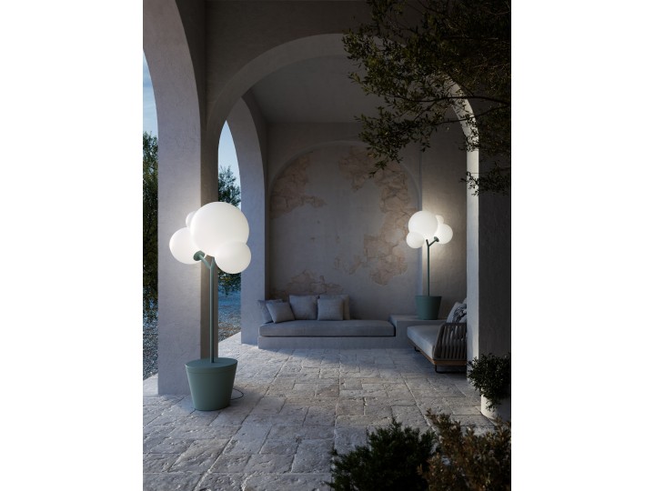 Tree of Light salvia - Zafferano